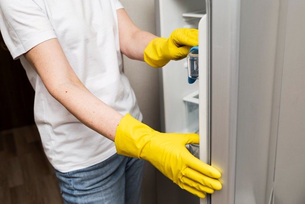 Refrigerator Door Seal Test Do You Need a Gasket Replacement